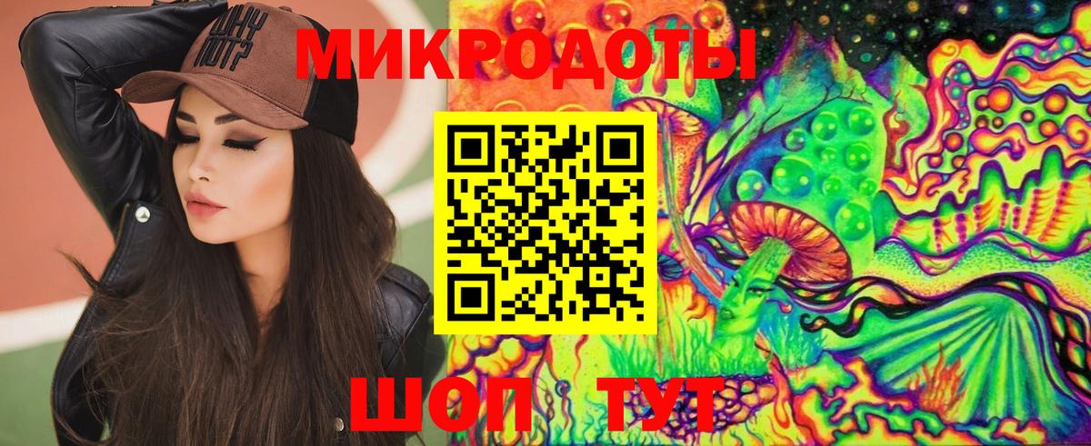 Псилоцибиновые грибы Psilocybine cubensis Надым
