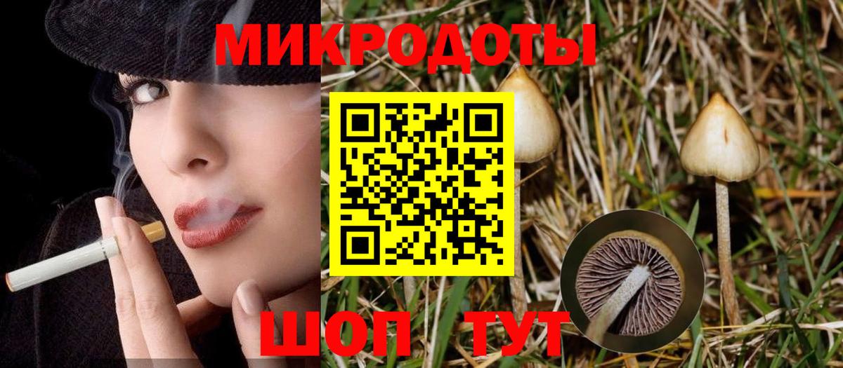 Надым  Псилоцибиновые грибы GOLDEN TEACHER  Вход с VPN  Галлюциногенные грибы ЛСД 